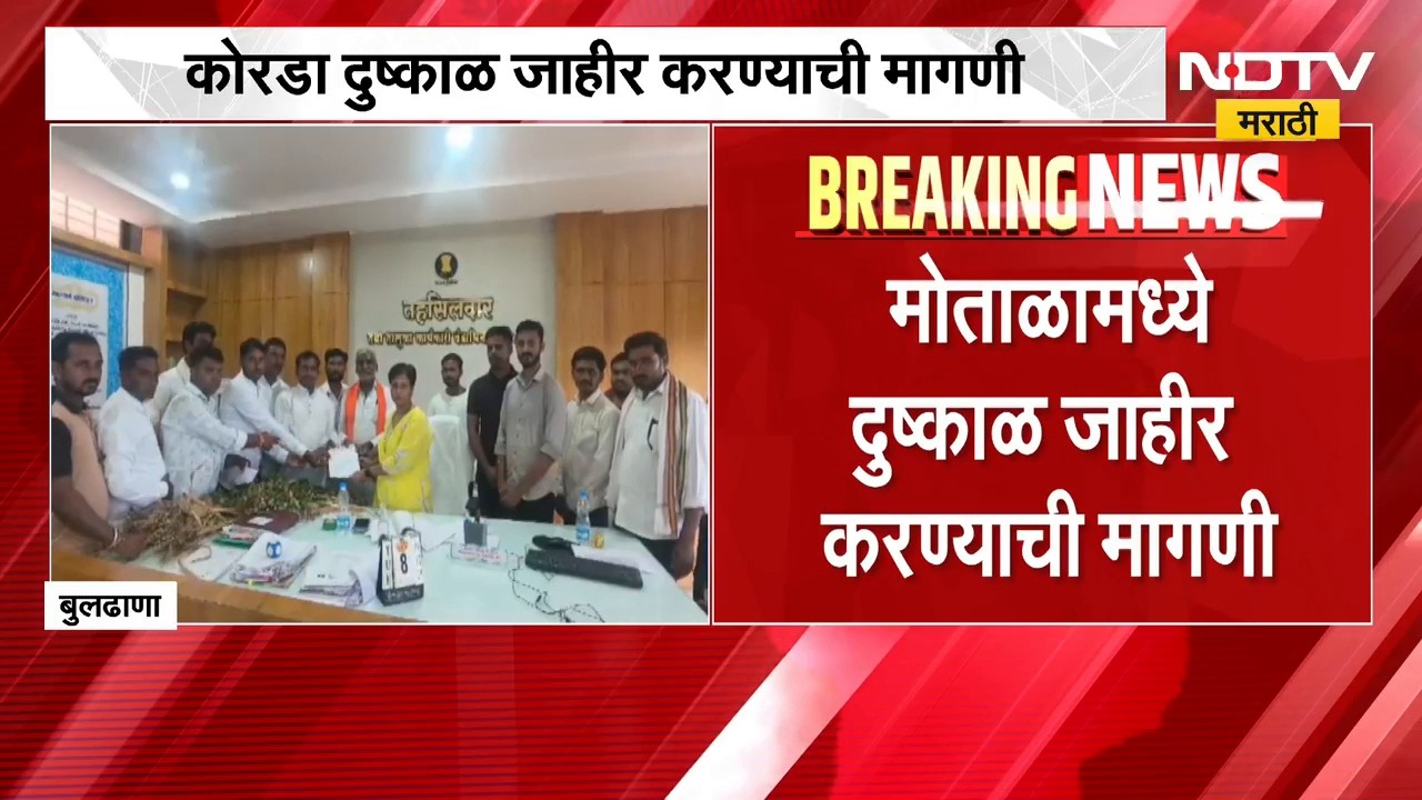 Buldhana rain news | मोताळा तालुक्यात 50 दिवस पावसाची दडी, शेतकऱ्यांसमोर मोठं संकट ।  NDTV मराठी