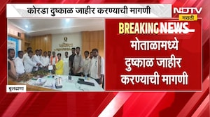 Buldhana rain news | मोताळा तालुक्यात 50 दिवस पावसाची दडी, शेतकऱ्यांसमोर मोठं संकट ।  NDTV मराठी