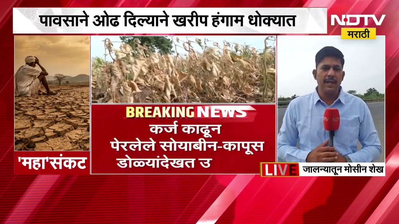 चिंतेची बातमी: पावसाने ओढ दिल्याने 83 तालुक्यातील खरीप हंगाम धोक्यात, राज्यात दुष्काळसदृश स्थिती