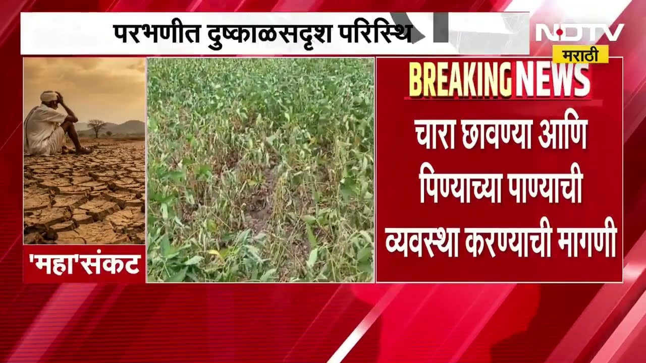 Parbhani जिल्ह्यात दुष्काळसदृश स्थिती, शेतकरी आणि पशुपालकांच्या अडचणीत वाढ ।  NDTV