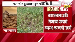 Parbhani जिल्ह्यात दुष्काळसदृश स्थिती, शेतकरी आणि पशुपालकांच्या अडचणीत वाढ ।  NDTV