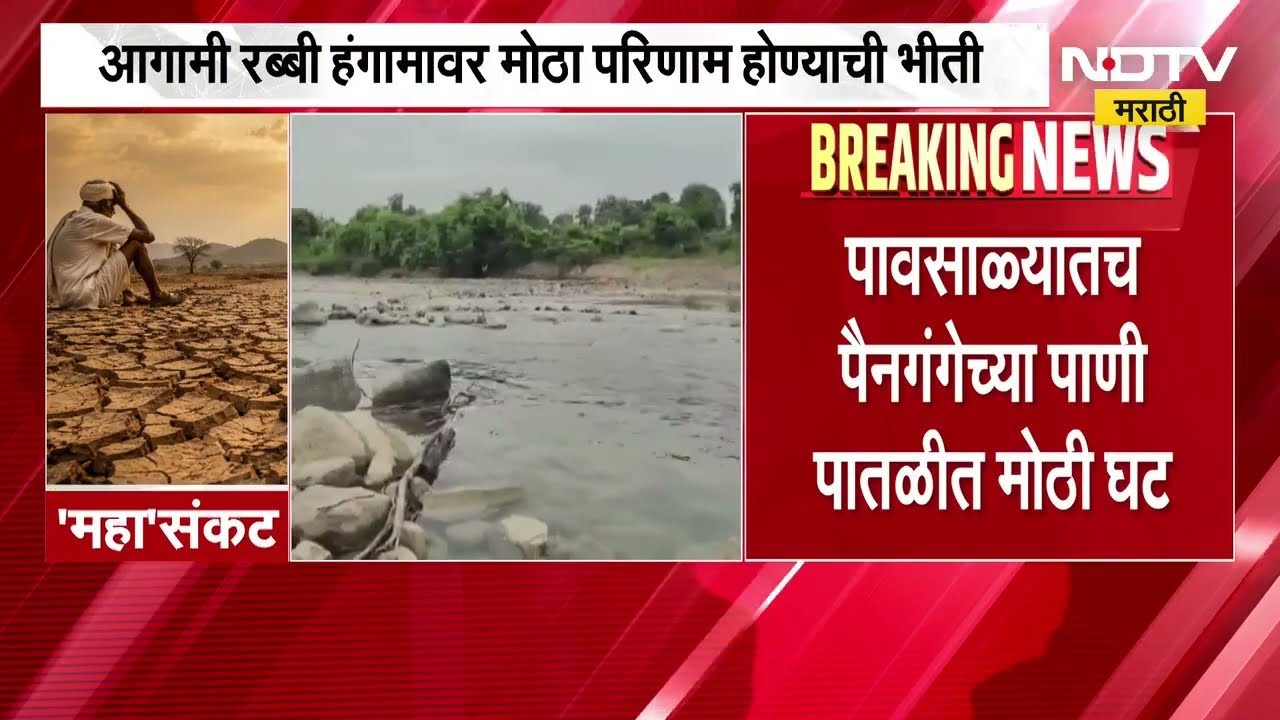 Washim मधील पैनगंगा नदीची पाणीपातळी पावसाळ्यातच कमालीची घटली, पावसाअभावी शेतकरी चिंतेत