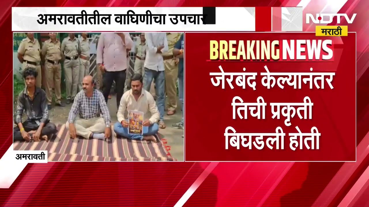 Amravati तील 'त्या' वाघिणीवर वनविभागाच्या देखरेखीखाली अत्यंत गोपनीय पद्धतीनं अंत्यसंस्कार
