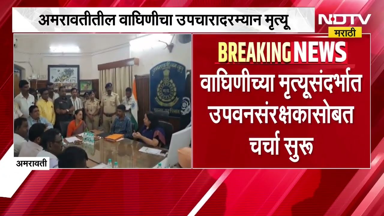 Amravati| वाघिणीच्या मृत्यूसंदर्भात Yashomati Thakur यांची मुख्य वनसंरक्षक कार्यालयावर धडक