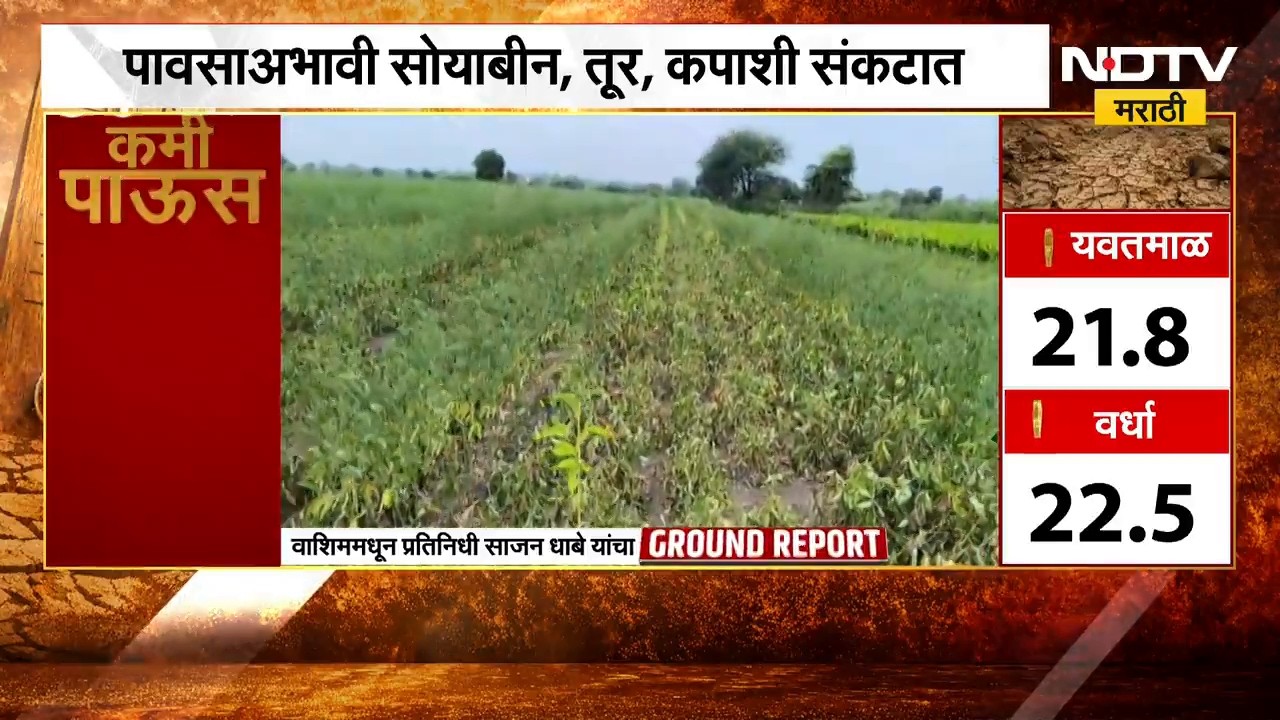 Drought News| Washim| पावसाअभावी सोयाबीन, तूर, कपाशी संकटात; याचसंदर्भात शेतकऱ्यांसोबत साधलेला संवाद