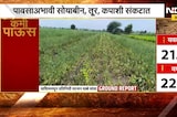 Drought News| Washim| पावसाअभावी सोयाबीन, तूर, कपाशी संकटात; याचसंदर्भात शेतकऱ्यांसोबत साधलेला संवाद