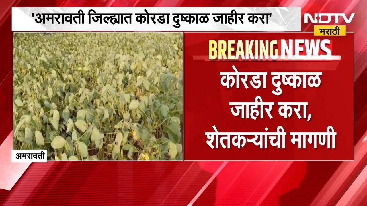 Amravati News| अमरावती जिल्ह्यात कोरडा दुष्काळ जाहीर करा, शेतकऱ्यांची मागणी