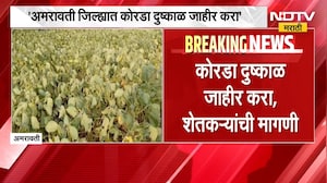 Amravati News| अमरावती जिल्ह्यात कोरडा दुष्काळ जाहीर करा, शेतकऱ्यांची मागणी