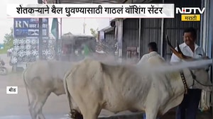 Beed|कोरड्या दुष्काळाचे सावट; विहिर,बोर कोरडी पडल्याने शेतकऱ्याने बैल धुवण्यासाठी गाठलं वॉशिंग सेंटर