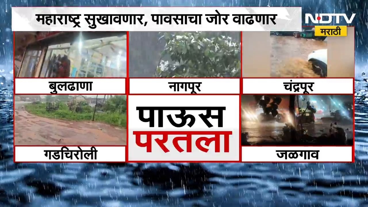 Maharashtra Rain| विदर्भासह महाराष्ट्रात पावसाची दमदार हजेरी, कोणत्या जिल्ह्यात बरसल्या सरी ?