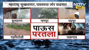 Maharashtra Rain| विदर्भासह महाराष्ट्रात पावसाची दमदार हजेरी, कोणत्या जिल्ह्यात बरसल्या सरी ?