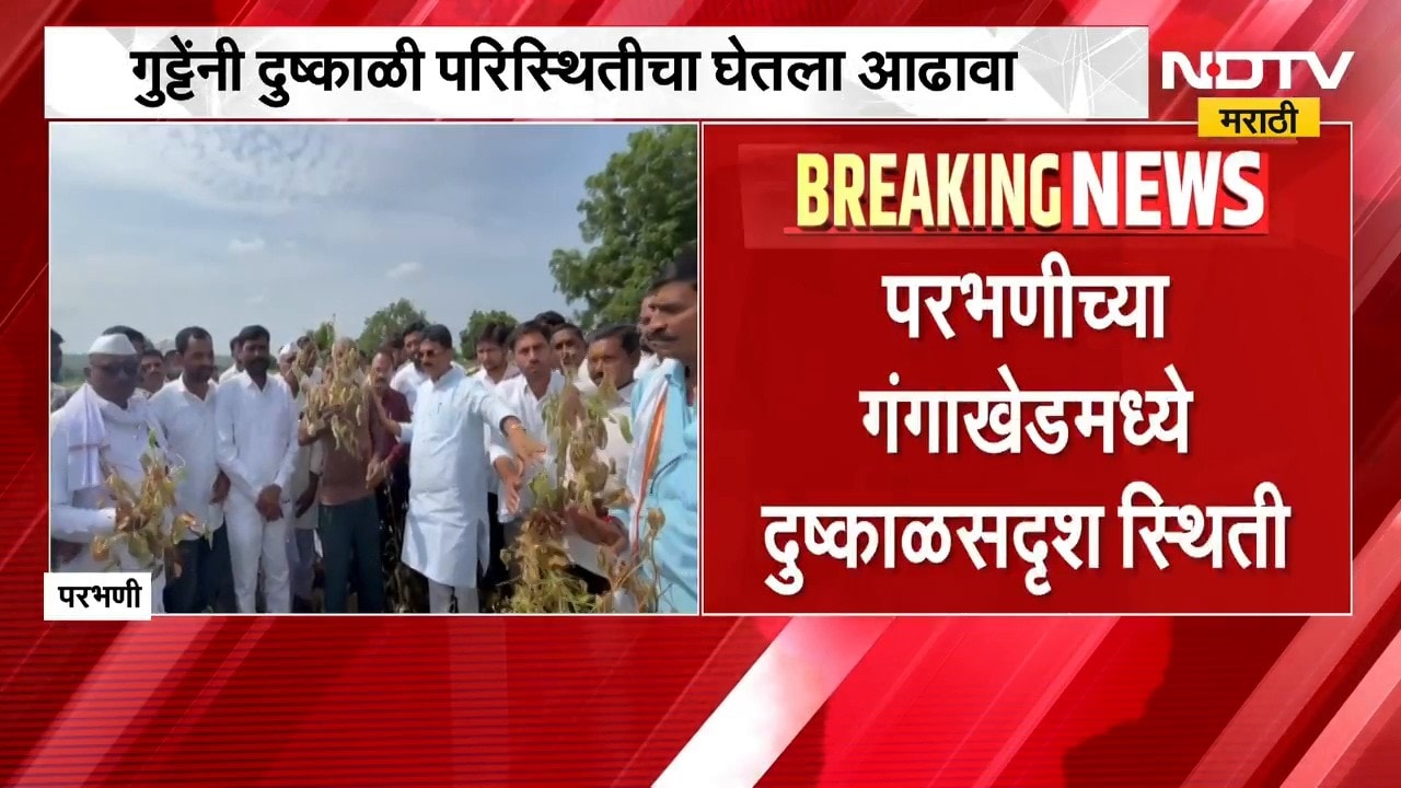 Parbhani | परभणीच्या गंगाखेडमध्ये दुष्काळसदृश्य स्थिती, आमदार रत्नाकर गुट्टे शेतकऱ्यांच्या बांधावर