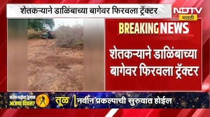 Paithan No Rain | पैठणमध्ये पाऊस नसल्याने शेतकरी संकटात, डाळिंबाच्या बागेवर फिरवला ट्रॅक्टर