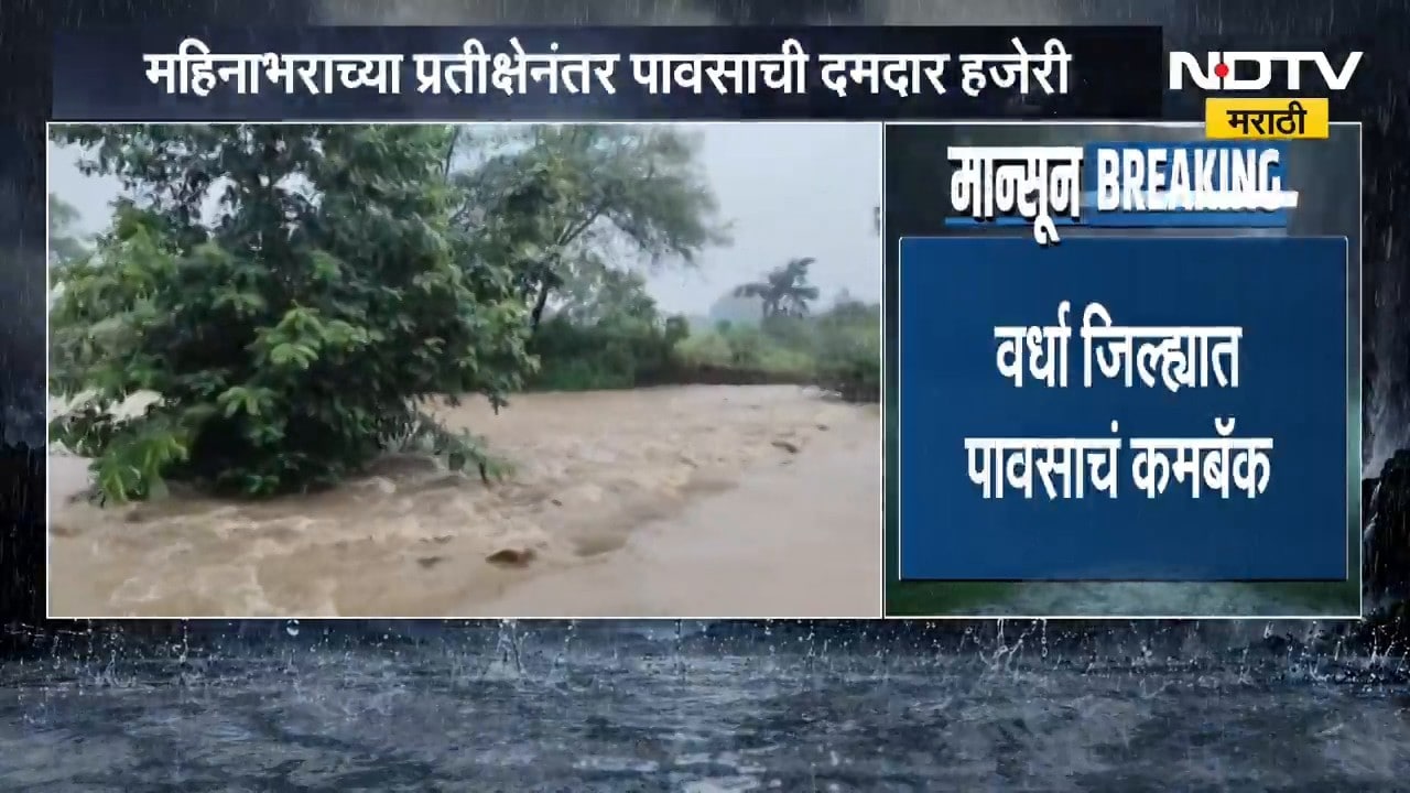 Wardha Rain| महिन्याभराच्या प्रतीक्षेनंतर वर्ध्यात पावसाची दमदार हजेरी, शेतकऱ्यांना दिलासा