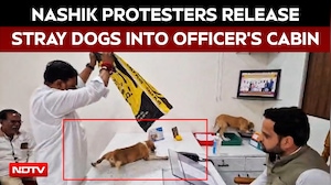 Nashik: Shiv Sena UBT Leaders Stage Unique Protest, Release Stray Dogs Into Officer's Cabin