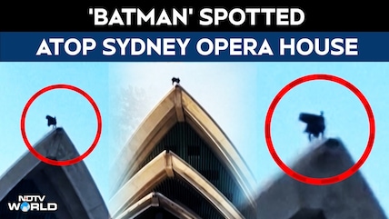 'Batman' Spotted On Top Of Opera House In Sydney