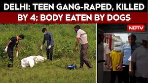 Delhi News | Teen Gang-Raped, Killed By 4, Including 3 Minors In Delhi, Body Eaten By Dogs