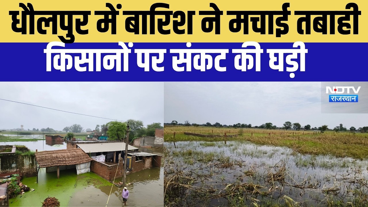 धौलपुर में बार&zwj;िश ने मचाई तबाही, क&zwj;िसानों पर संकट की घड़ी