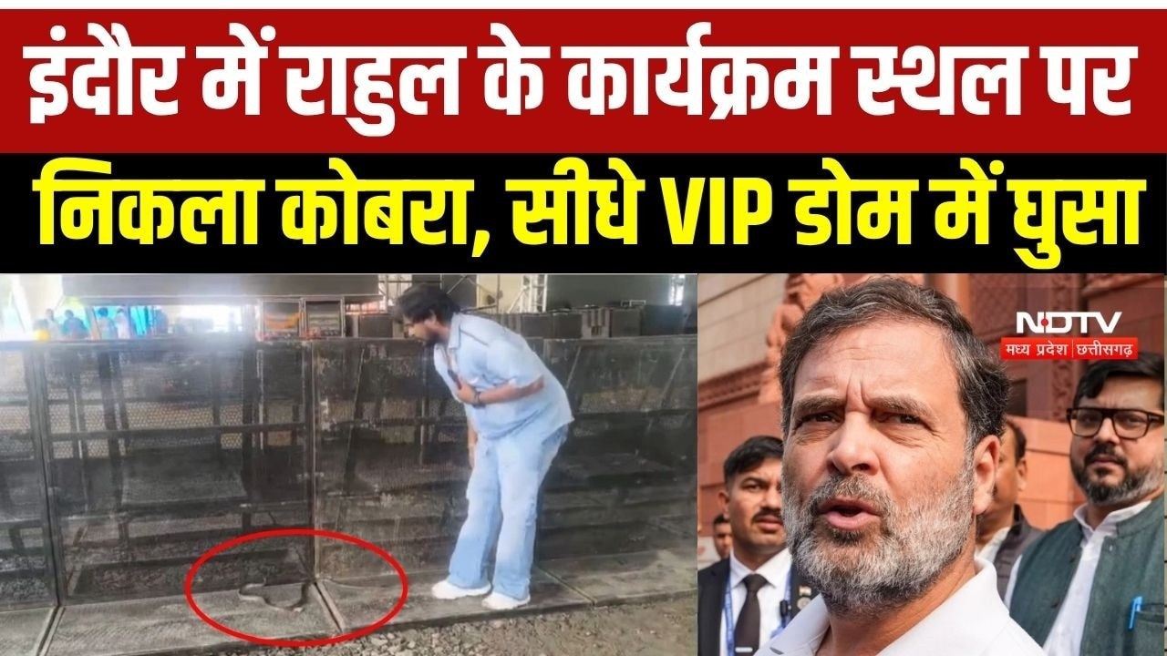 राहुल गांधी के कार्यक्रम स्थल से निकला कोबरा, VIP डोम में घुसा