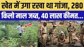 मुफ्त राशन पाने अमीर से अंत्योदय बने 1104 परिवारों की पुलिस जांच शुरू