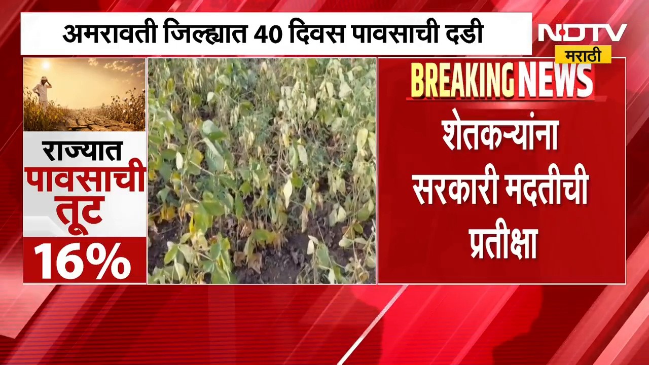 Rain News | राज्यात पावसाची तूट, सरासरीपेक्षा 16% कमी पाऊस, खरीप पिकांना मोठा धोका | NDTV Marathi