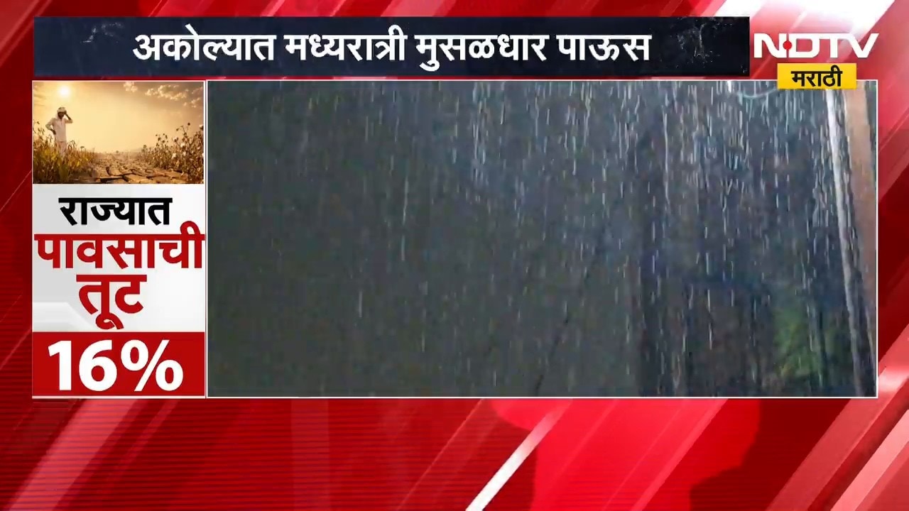 Akola Rains | मध्यरात्री मुसळधार पाऊस, अकोल्यात कपाशी आणि तूर पिकांना मिळणार संजीवनी ।  NDTV मराठी