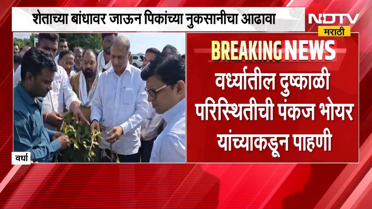 Wardha मधील पावसाच्या खंडामुळे सोयाबीन-तूर पिकांना फटका, Pankaj Bhoyar यांच्याकडून पाहणी | NDTV