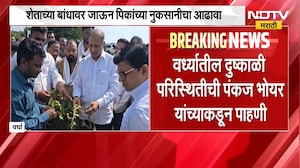 Wardha मधील पावसाच्या खंडामुळे सोयाबीन-तूर पिकांना फटका, Pankaj Bhoyar यांच्याकडून पाहणी | NDTV