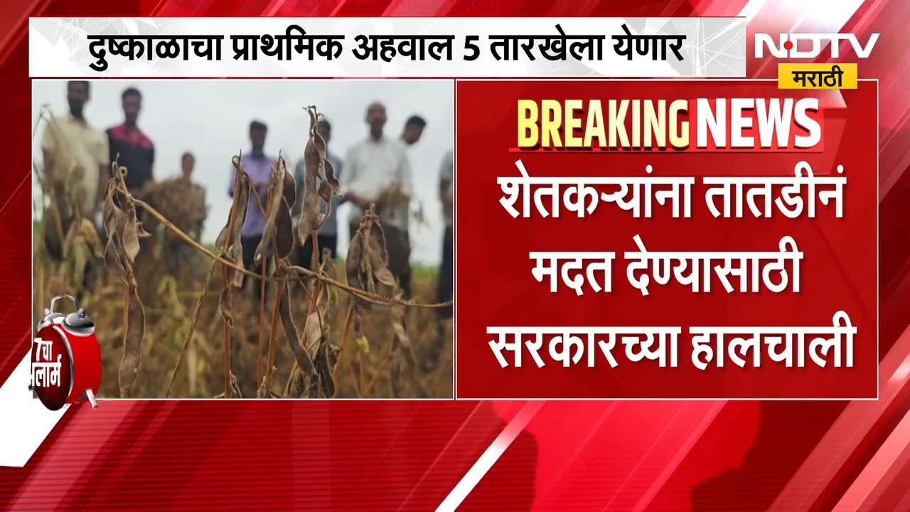 राज्यात दुष्काळसदृश्य परिस्थिती, शेतकऱ्यांना तातडीने मदत देण्यासाठी सरकारच्या हालचाली | Drought