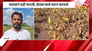 Sangli No Rain | पावसाने दडी मारली, शेतकऱ्याचे स्वप्न करपले; सांगलीतील शेतकऱ्याच्या व्यथा | NDTV