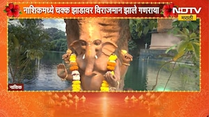 Nashik Ganeshotsav | नाशिकमध्ये झाडावर साकारला शाडू मातीचा सुंदर बाप्पा | NDTV Marathi