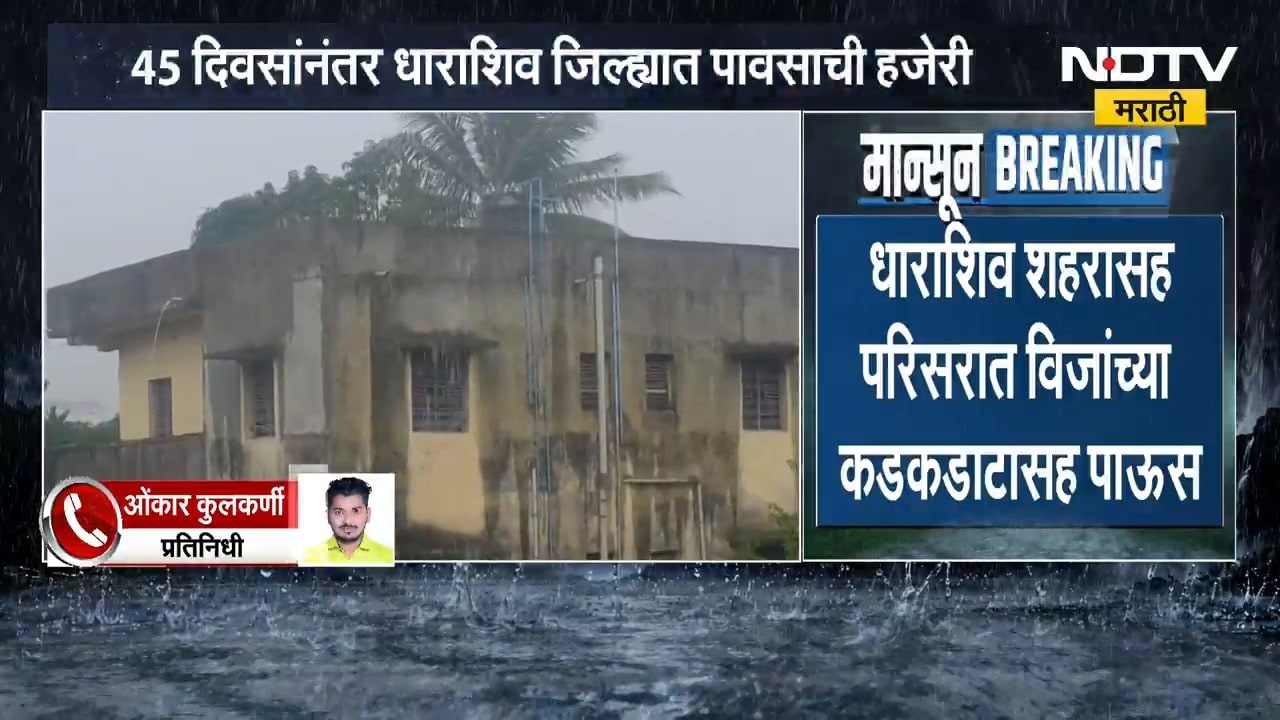 Dharashiv Rain| 45 दिवसांनंतर धाराशिवमध्ये पावसाची हजेरी, रब्बी हंगामासाठी शेतकऱ्यांच्या आशा पल्लवित