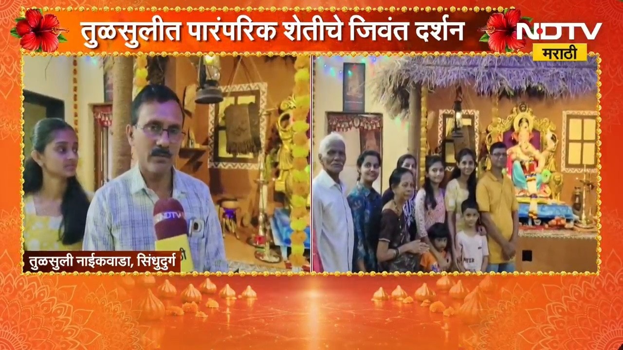 Sindhudurg| तुळसुलीत पारंपरिक शेतीचे जिवंत दर्शन, नाईक-जुमलेदार कुटुंबीयांचा अनोखा उपक्रम