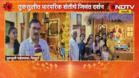 Sindhudurg| तुळसुलीत पारंपरिक शेतीचे जिवंत दर्शन, नाईक-जुमलेदार कुटुंबीयांचा अनोखा उपक्रम