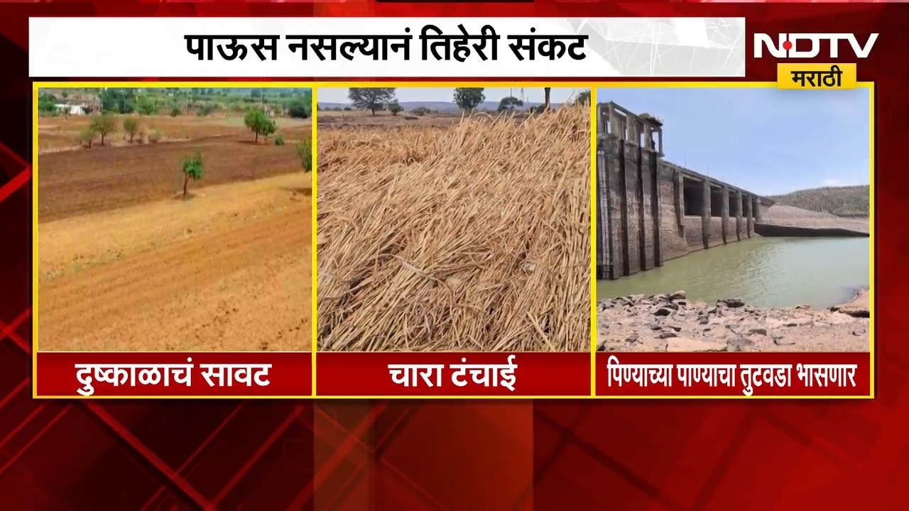 Maharashtra Drought | पाऊस नसल्याने तिहेरी संकट, शेतकऱ्यांनी जगावं कसं? सरकार लक्ष देणार का?