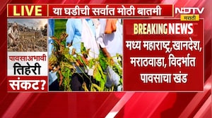 राज्यात पावसाची तूट, खरीप पिकं संकटात; अनेक तालुक्यात सरासरीपेक्षा कमी पाऊस | Maharashtra No Rain