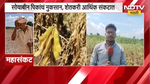 Kolhapur No Rain | पाऊस नसल्याने कोल्हापुरातील शेतकऱ्यांना फटका, पिकं करपली | NDTV Marathi