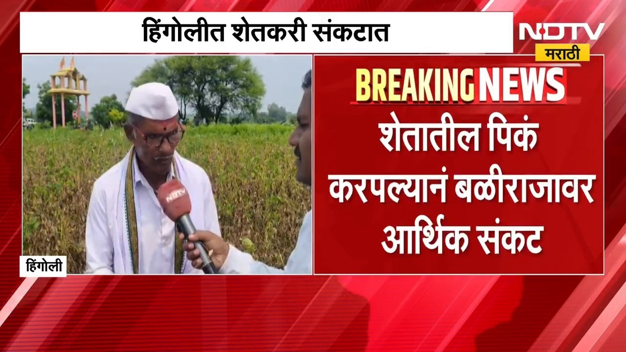 Hingoli No Rain | हिंगोलीत पाऊस नसल्याने सोयाबीन पिकांचं नुकसान, शेतकरी मदतीच्या प्रतिक्षेत | NDTV