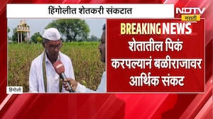 Hingoli No Rain | हिंगोलीत पाऊस नसल्याने सोयाबीन पिकांचं नुकसान, शेतकरी मदतीच्या प्रतिक्षेत | NDTV