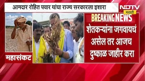 Hingoli| शेतकऱ्यांना जगवायचंय तर आजच दुष्काळ जाहीर करा, Rohit Pawar यांचा राज्य सरकारला इशारा