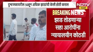 Nashik| दुभाजकावरील झाडांची कत्तल प्रकरण | झाड तोडणाऱ्या सहा आरोपींना न्यायालयीन कोठडी