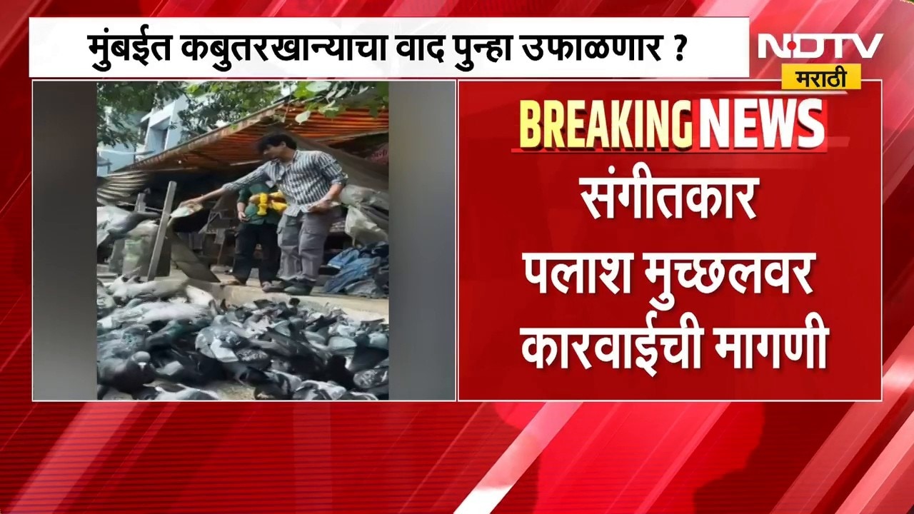 मुंबईत कबुतरखान्याचा वाद पुन्हा उफाळणार? Palash Muchhalच्या कबुतरांना दाणे भरवतानाच्या पोस्टवरुन वाद