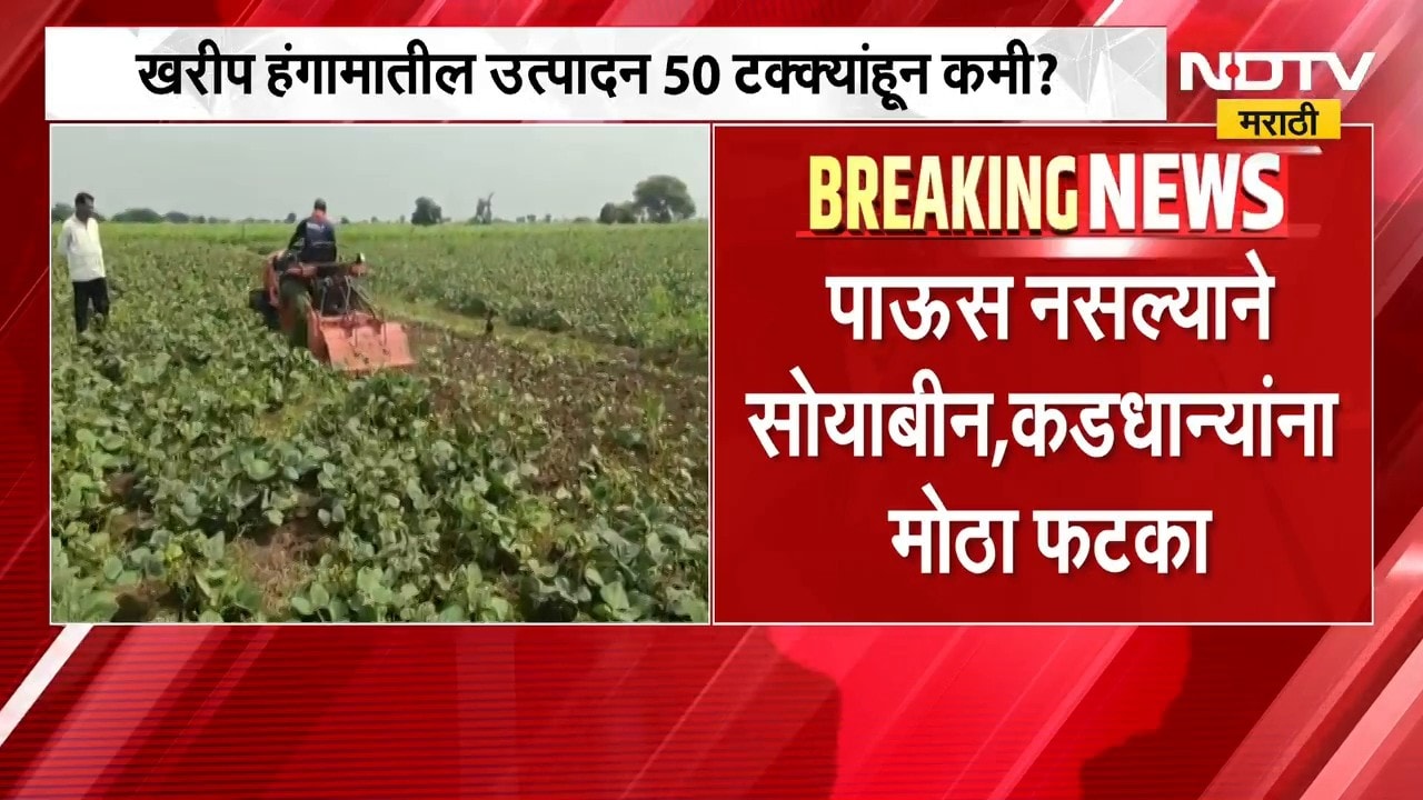 Rain News | खरीप हंगामातील उत्पादन 50 टक्क्यांहून कमी? परतीच्या पावसाचा तूर कापसाला मिळणार दिलासा?