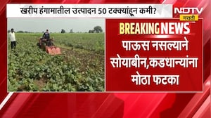 Rain News | खरीप हंगामातील उत्पादन 50 टक्क्यांहून कमी? परतीच्या पावसाचा तूर कापसाला मिळणार दिलासा?