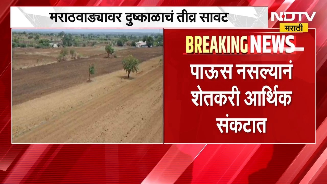 Unsatisfactory rainfall for 50 days। । 50 दिवसांपासून असमाधानकारक पाऊस, मराठवाडयात दुष्काळाचं सावट