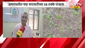 अमरावती जिल्ह्यातील सर्वच तालुक्यात पावसाचा खंड, 40 दिवसांपासून पाऊस गायब, सोयाबीन पिकाला मोठा फटका
