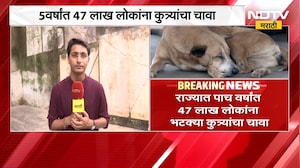 Stray Dogs Bits | 5 वर्षात 47 लाख लोकांना भटक्या कुत्र्यांचा चावा, माहिती अधिकारात उघड | NDTV