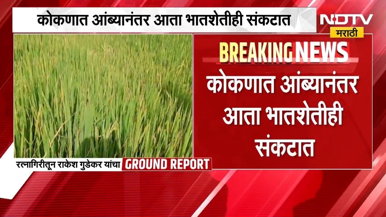 Ratnagiri No Rain | आंब्यानंतर आता भातशेतीही संकटात,कोकणातल्या शेतकऱ्यांची विदारक स्थिती | NDTV