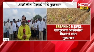 Latur Farners News | लातुरात पिकांचं मोठं नुकसान, शेती नुकसानीचे पंचनामे न झाल्याने शेतकरी आक्रमक