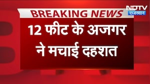 Kota News: 12 फीट के अजगर ने मचाई दहशत, कार के पास जमाया डेरा
